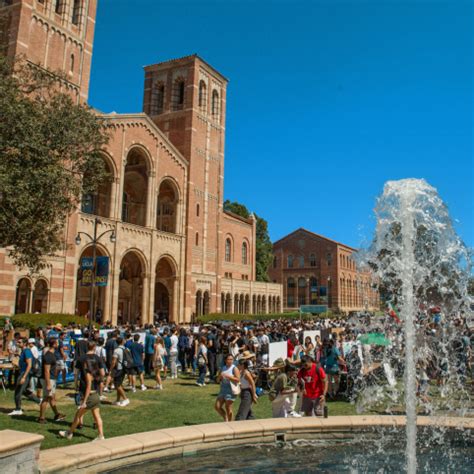 ucla student affairs|ucla student affairs office.